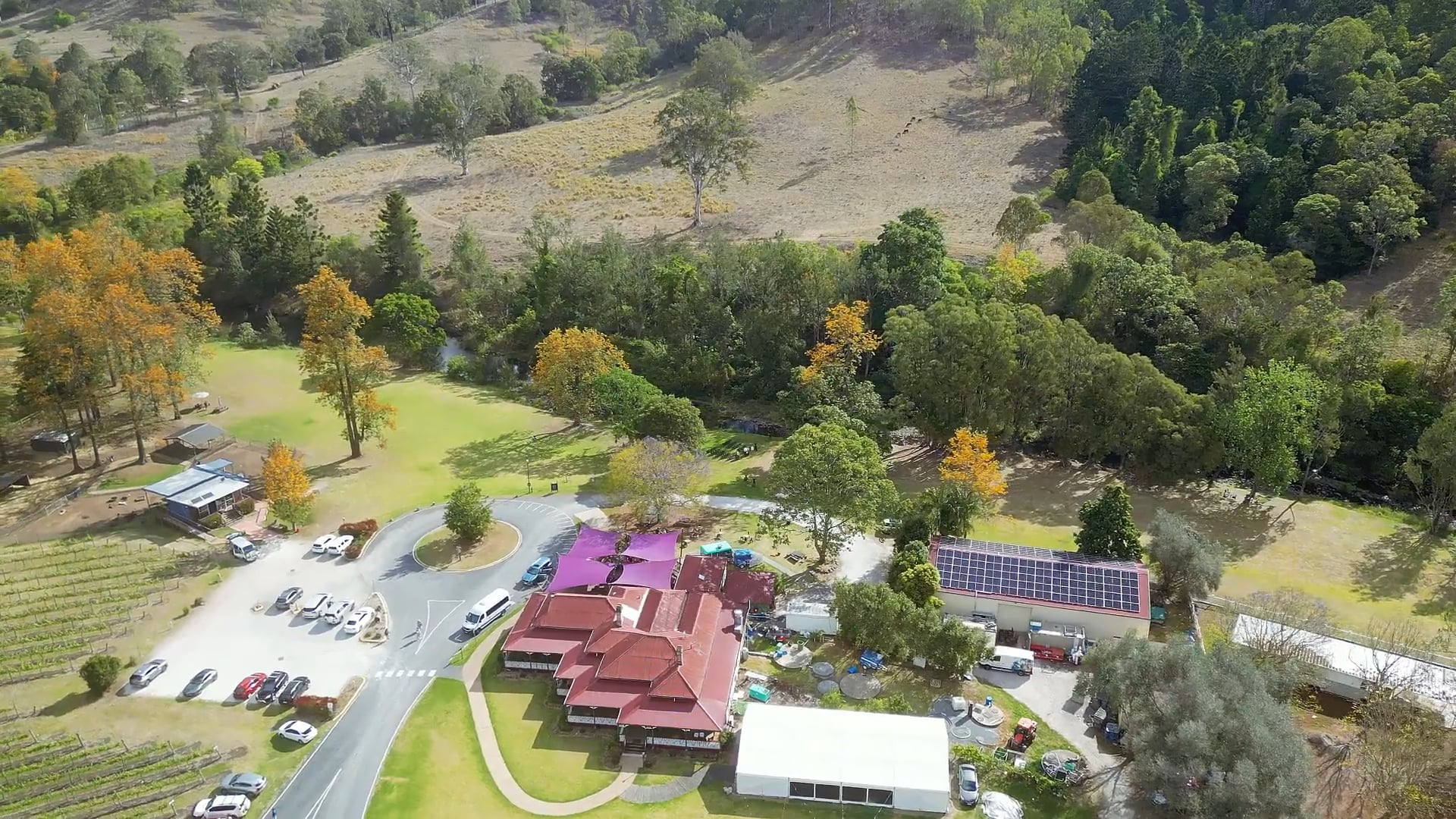 Wedding Video O’Reilly’s Vineyards 