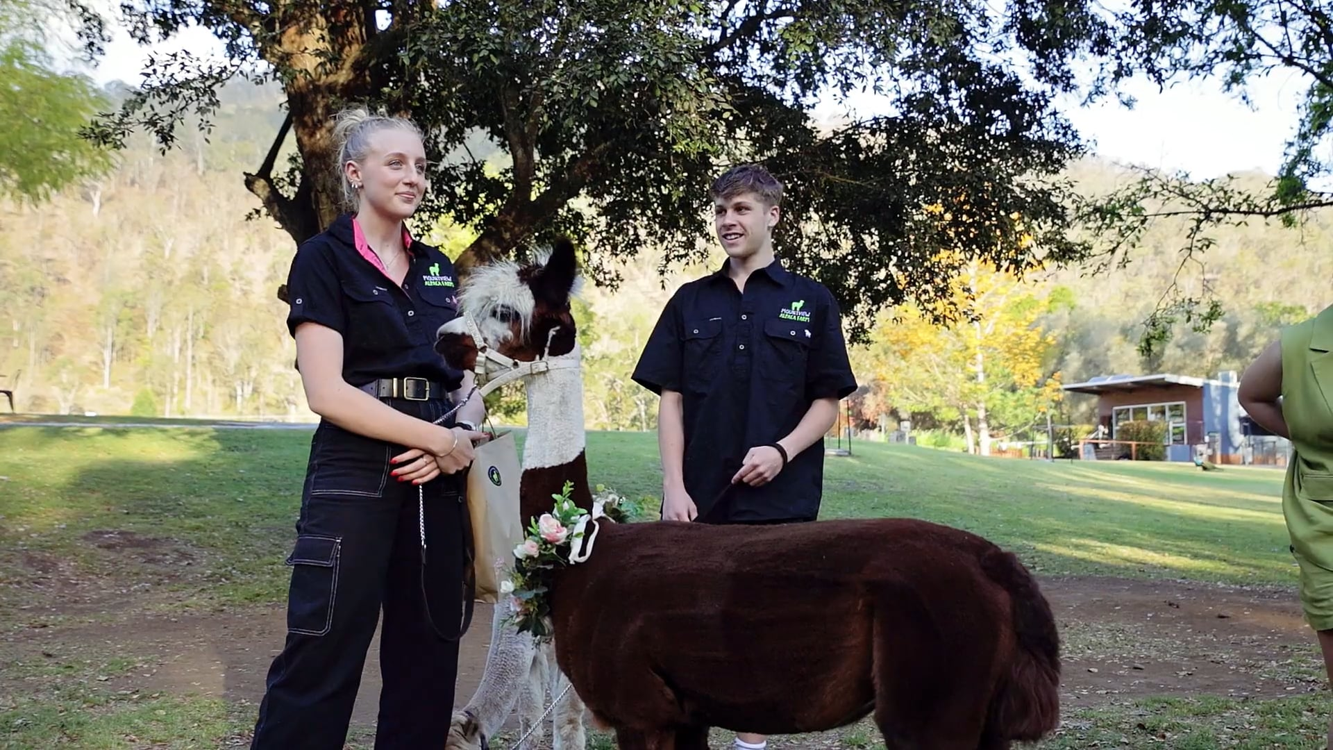 O’Reilly’s Vineyards Wedding Photos