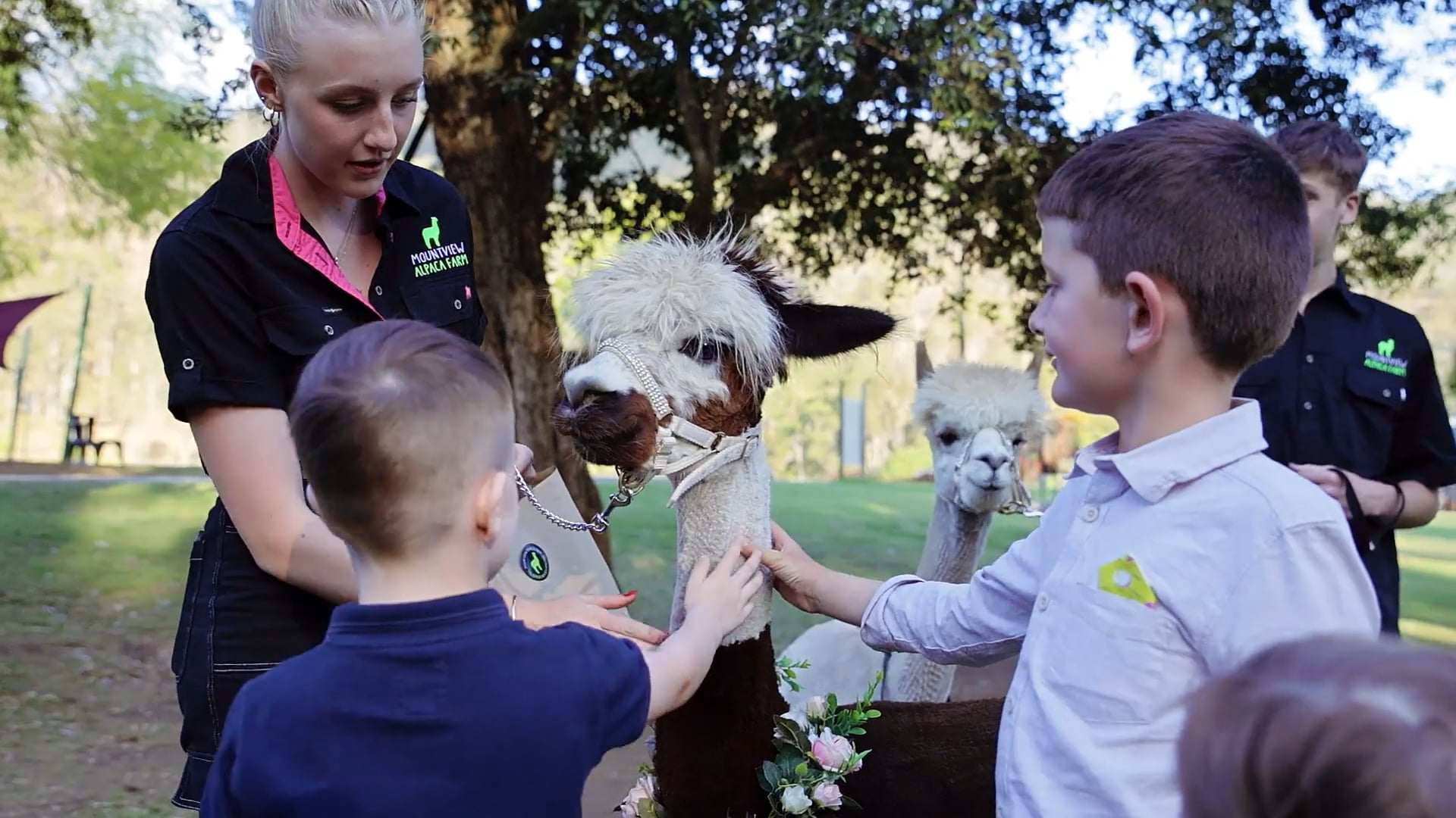 O’Reilly’s Vineyards Wedding Film