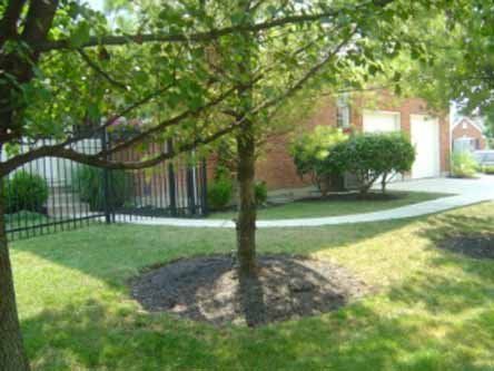 A brick house with a walkway leading to it and trees in front of it.