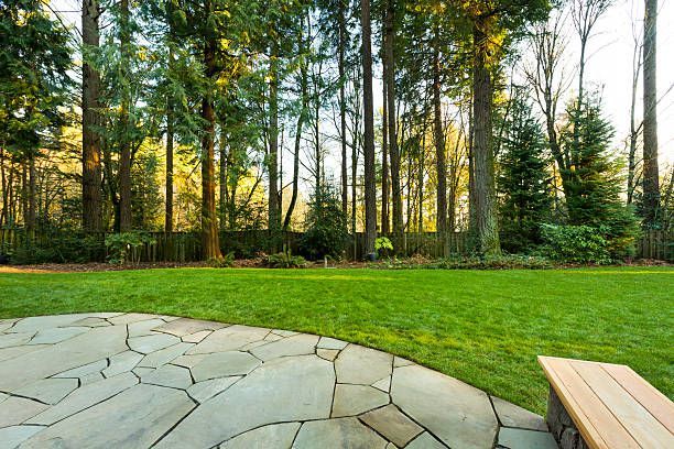 There is a stone patio in the middle of a lush green forest.