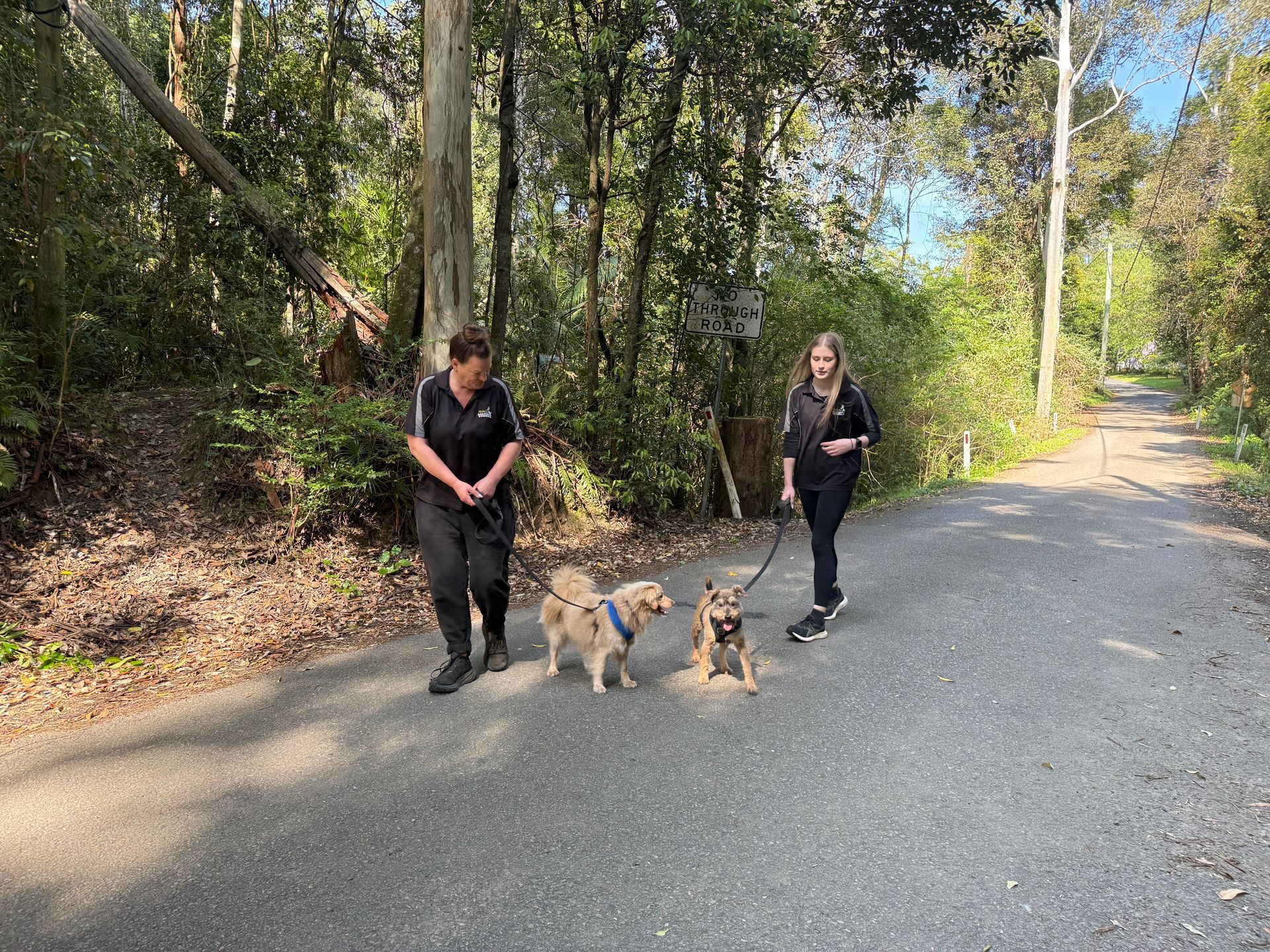 Two people walking two dogs on a gravel path in a wooded area. — Palmdale Boarding Kennels In Palmdale, NSW