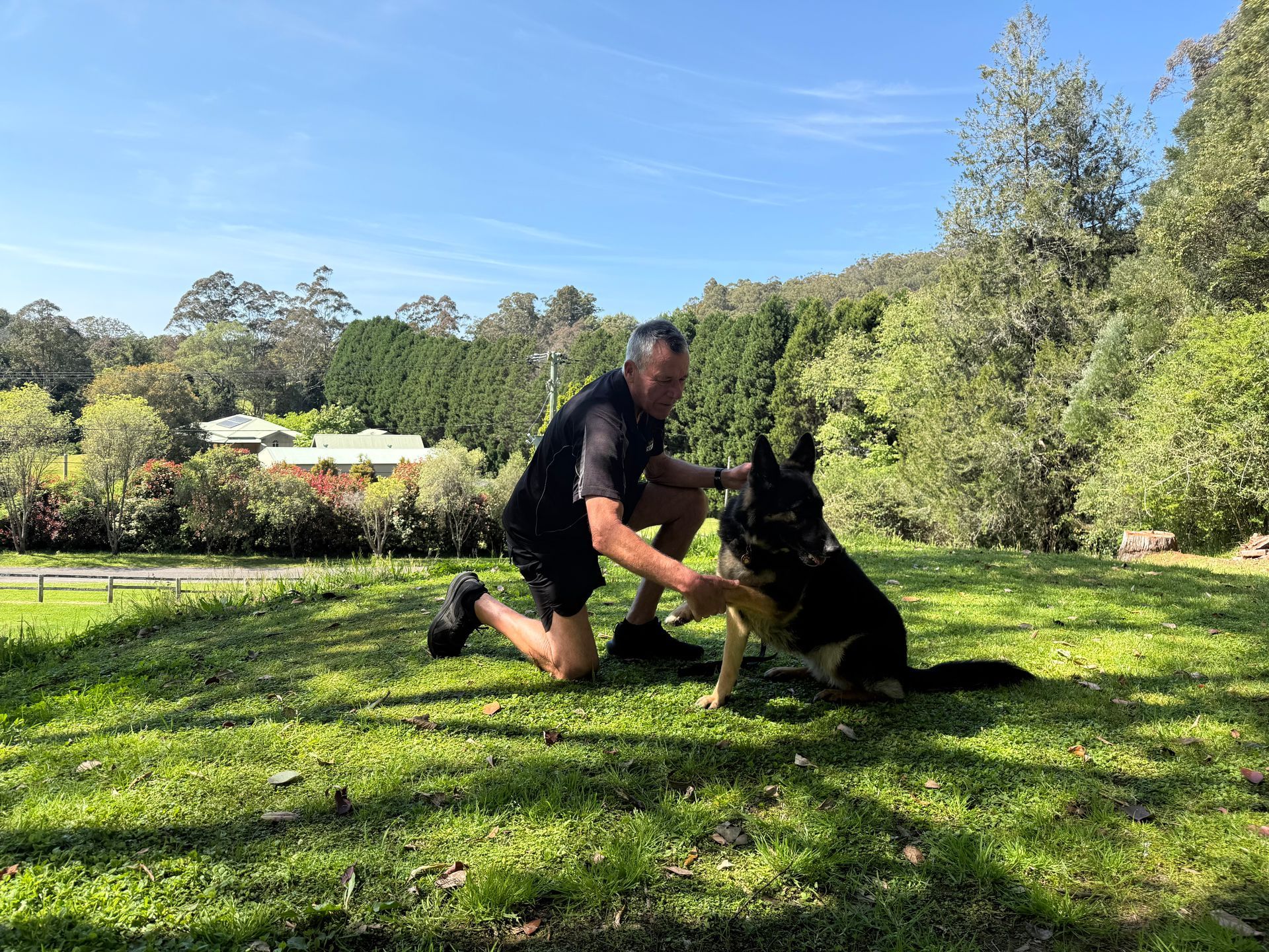 Man kneeling, petting black and tan German Shepherd in a sunny park with trees and houses in the background.— Palmdale Boarding Kennels In Palmdale, NSW