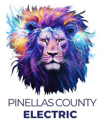 Pinellas County Electric