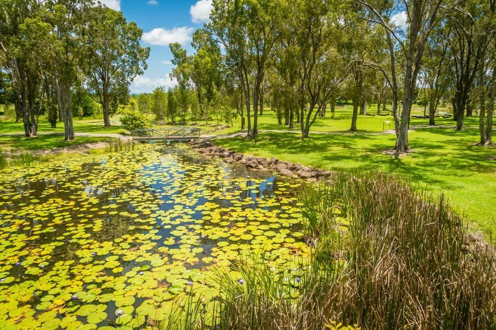 A Pond Filled with Water Lilies in A Park Surrounded by Trees — JWB Joinery in Ingham, QLD