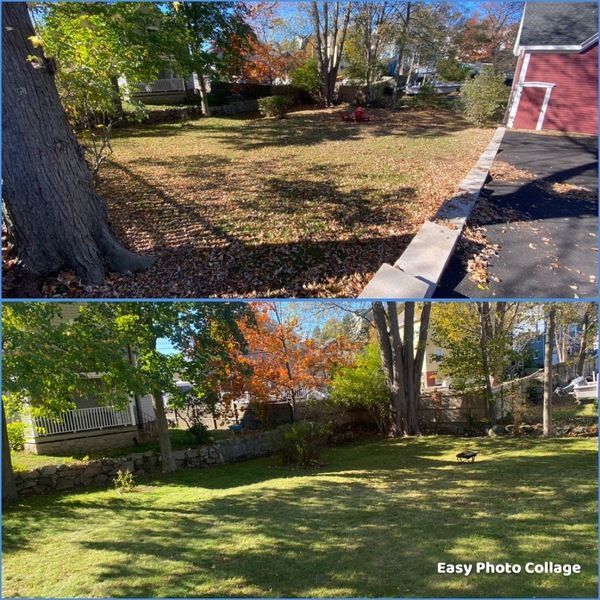A before and after photo of a lawn with a red barn in the background