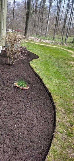 A lawn with a border of mulch and trees in the background.