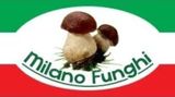 MILANO FUNGHI - LOGO