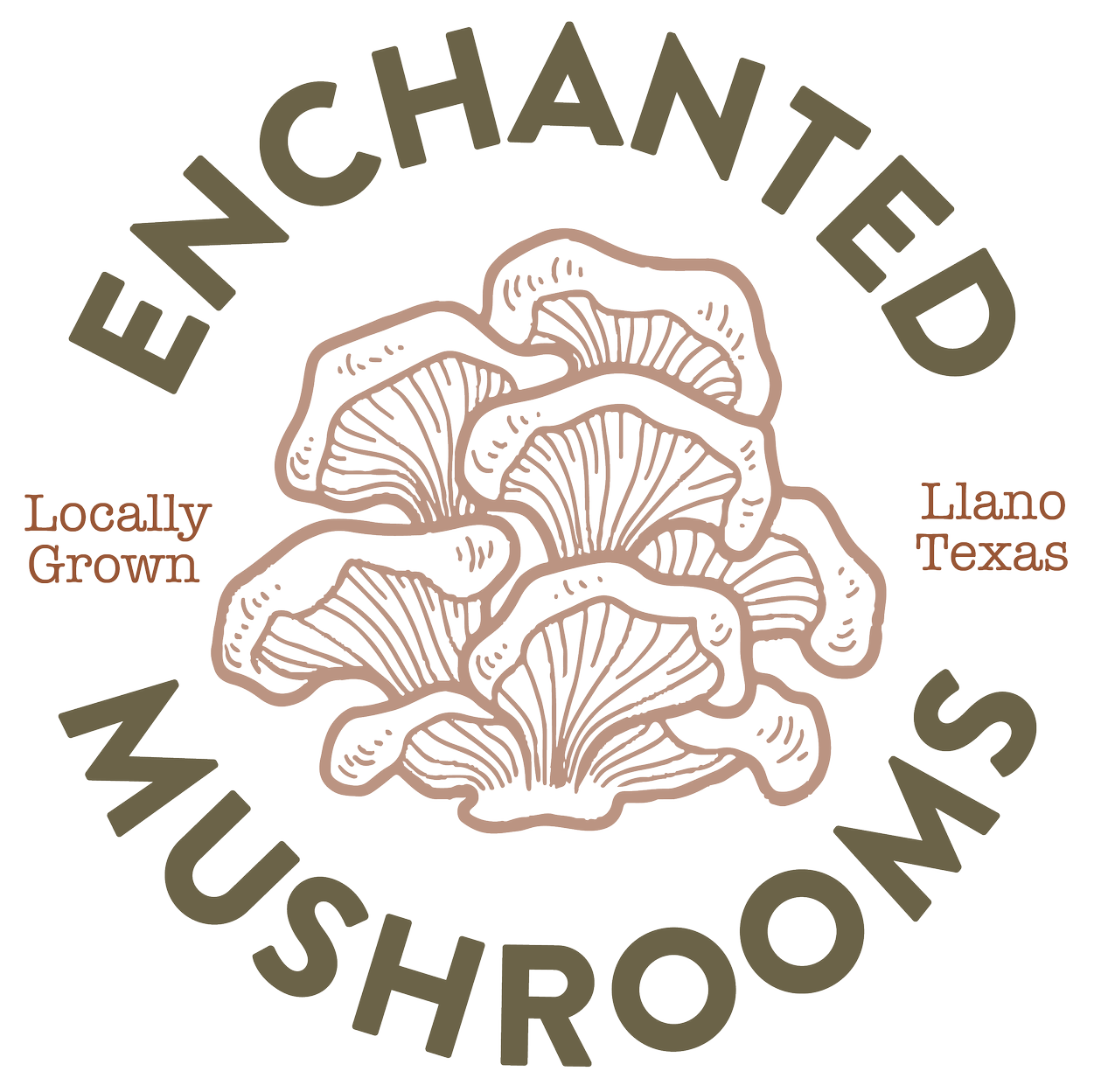Mushroom Farm in Austin, TX | Enchanted Mushrooms Mushroom Farm in Austin, TX | Enchanted Mushrooms