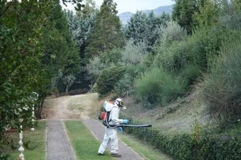 disinfestazione e derattizzazione