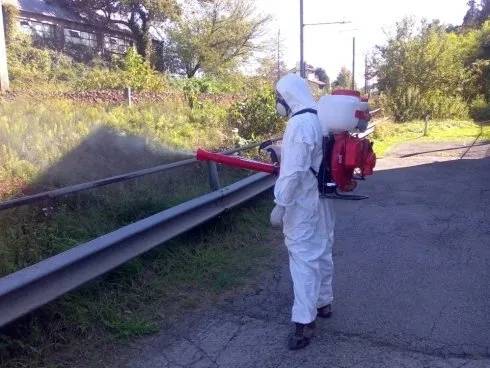 disinfestazione e derattizzazione