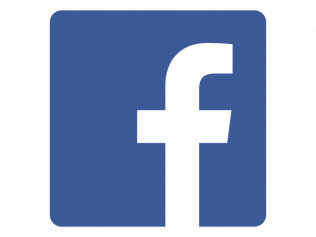 Facebook logo: white 