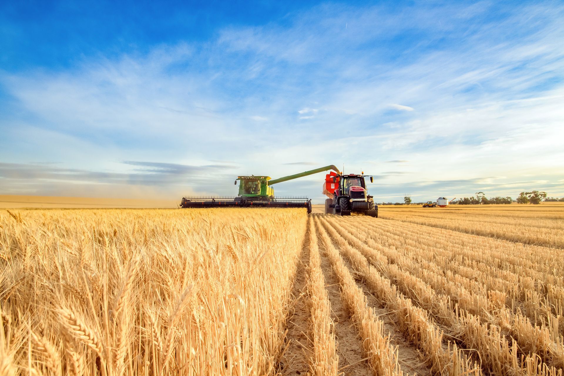 Harvesting machine approaching with the foreground of golden wheat