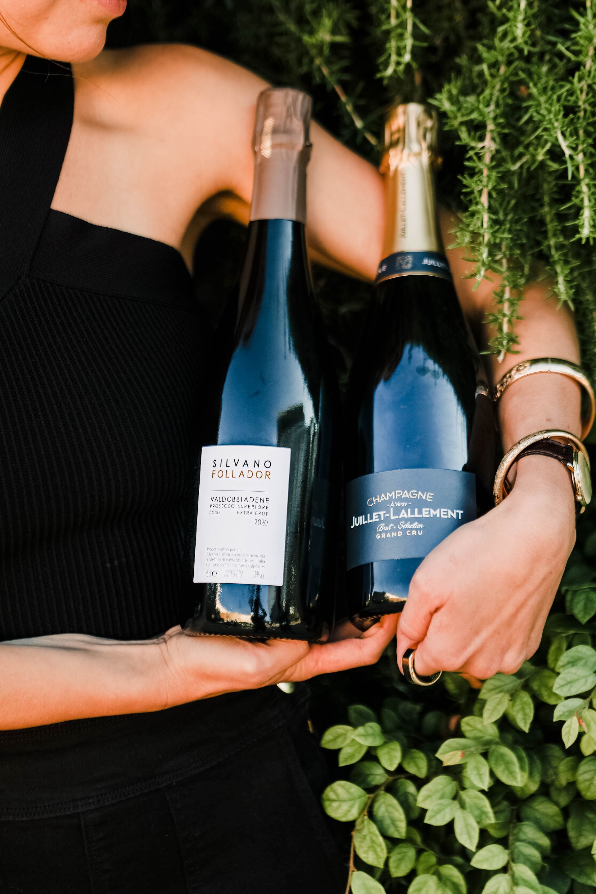 Fizz champagne club connoisseur