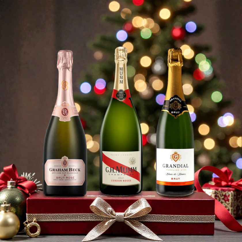 Fizz Christmas Bottle Pack- Sacramento