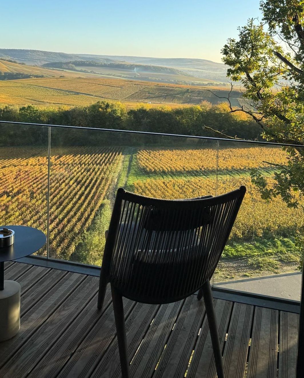 The view of a vineyard from a hotel room in Champagne, France.