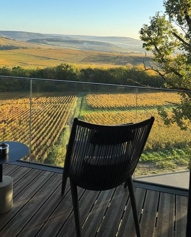 The view of a vineyard from a hotel room in Champagne, France.