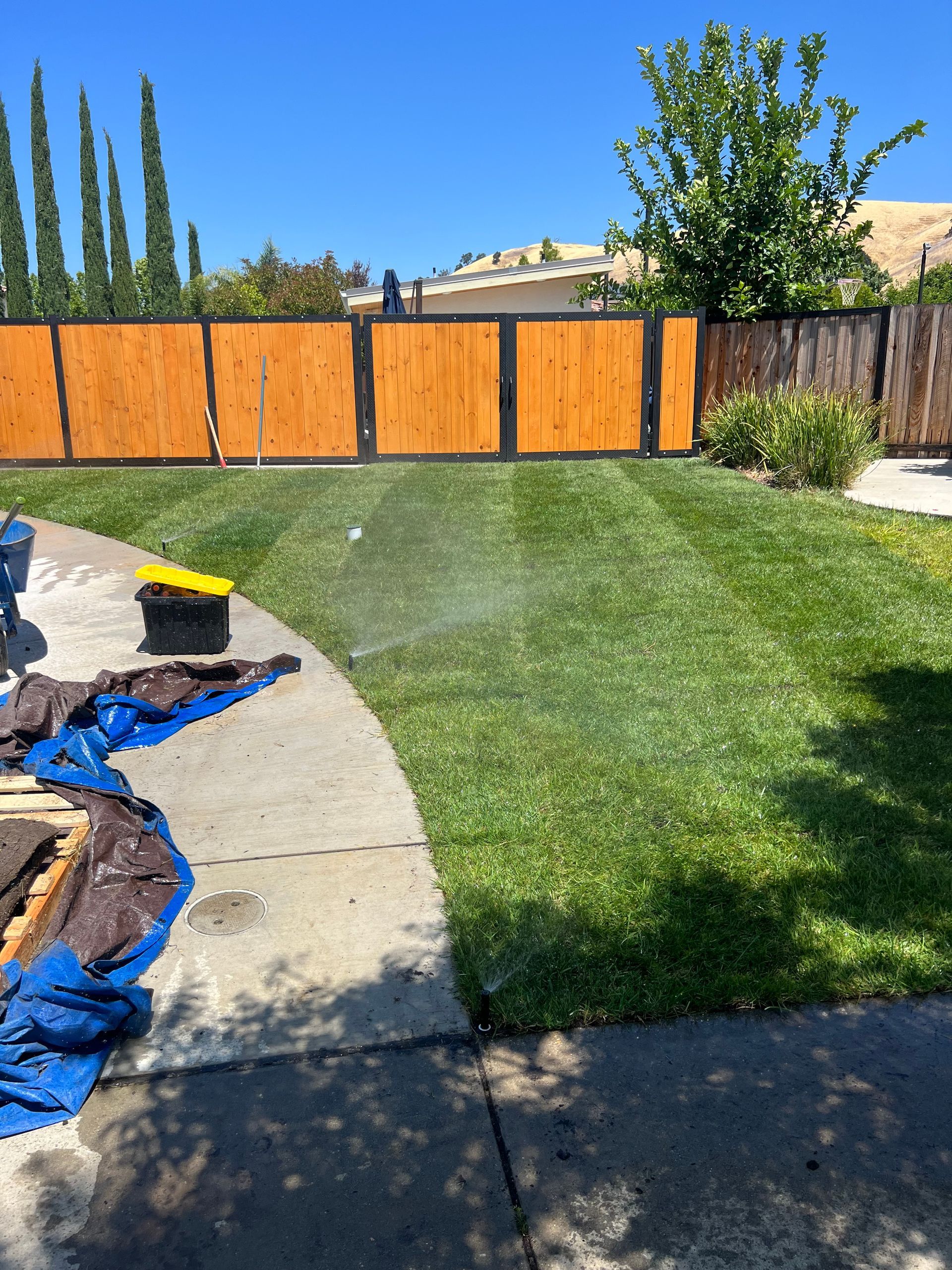 Lawn being watered by sprinkler. Green grass, brown fence and blue tarp on a sunny day.
