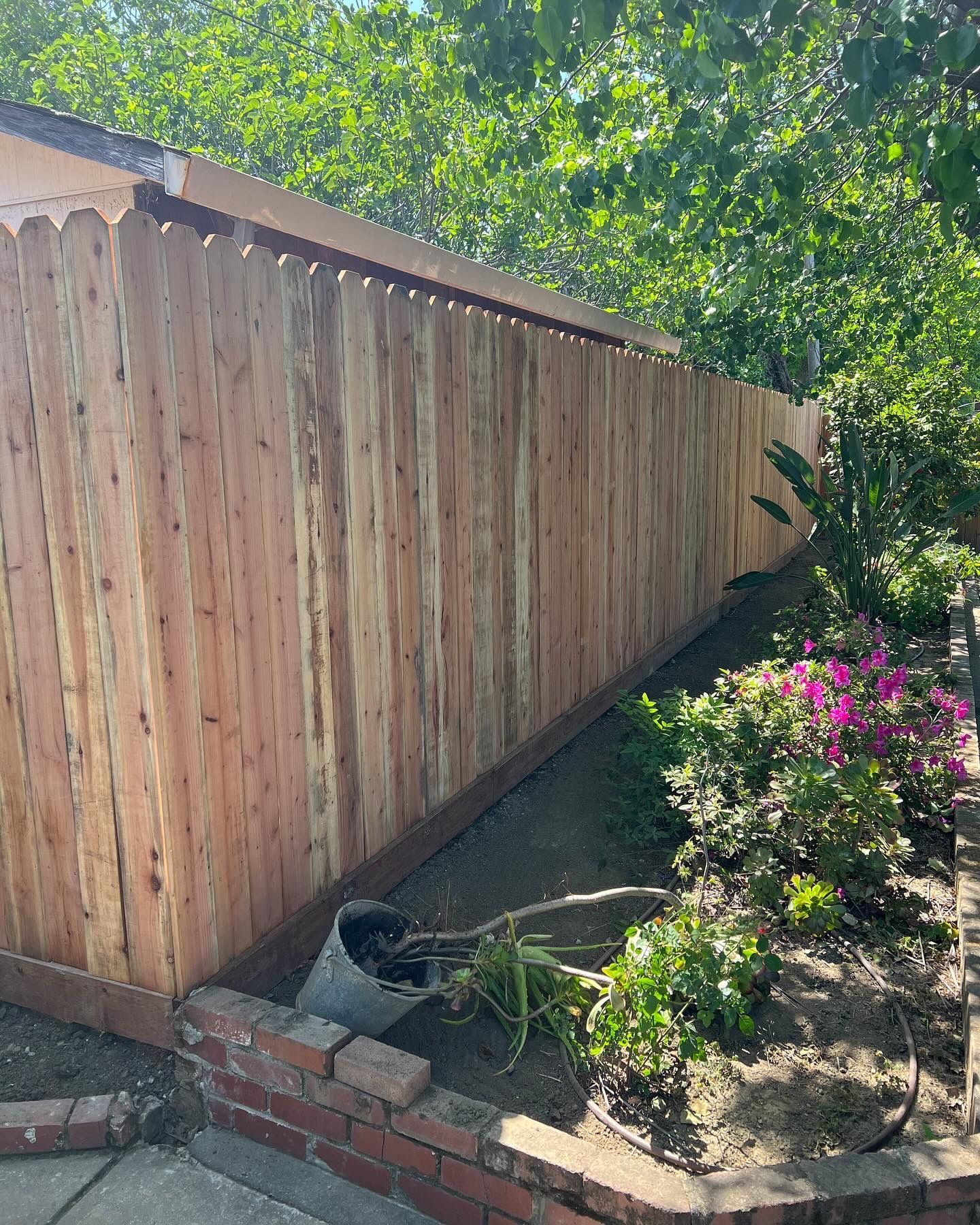 Wooden privacy fence along a landscaped yard, with flowers and greenery.