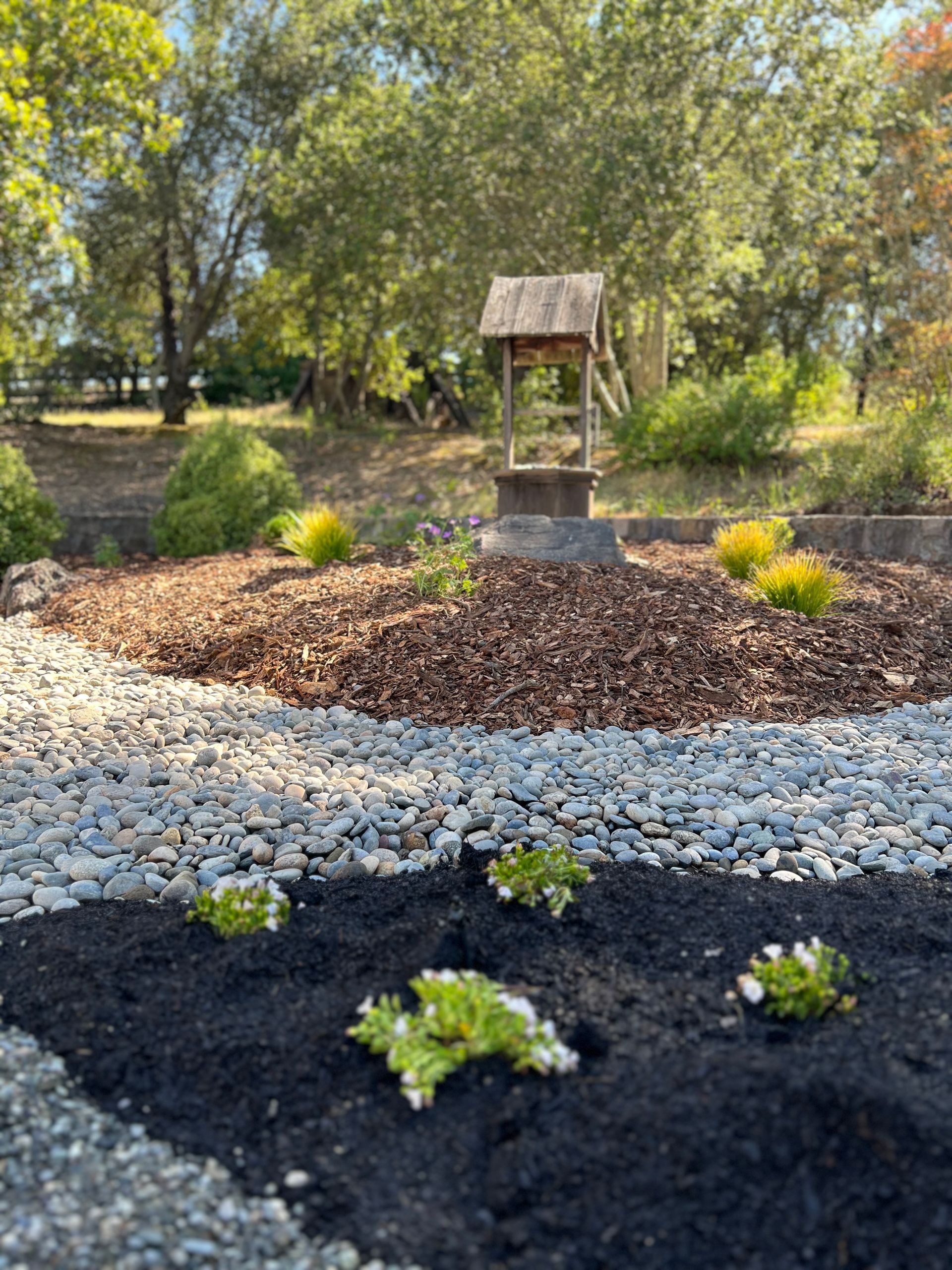 Garden bed with a wishing well, featuring dark mulch, gray stones, and black soil with green plants.