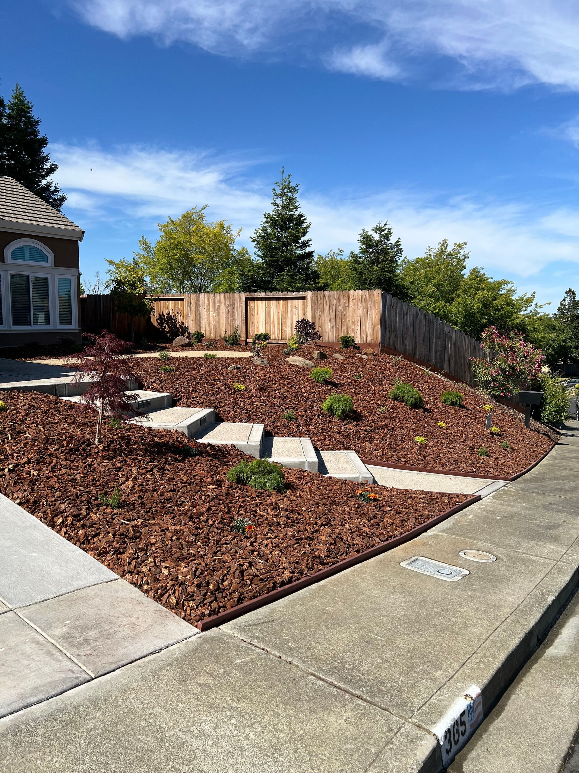 A landscaped yard with a wooden fence. Stepped stone path ascends a bark-covered slope with small plants.