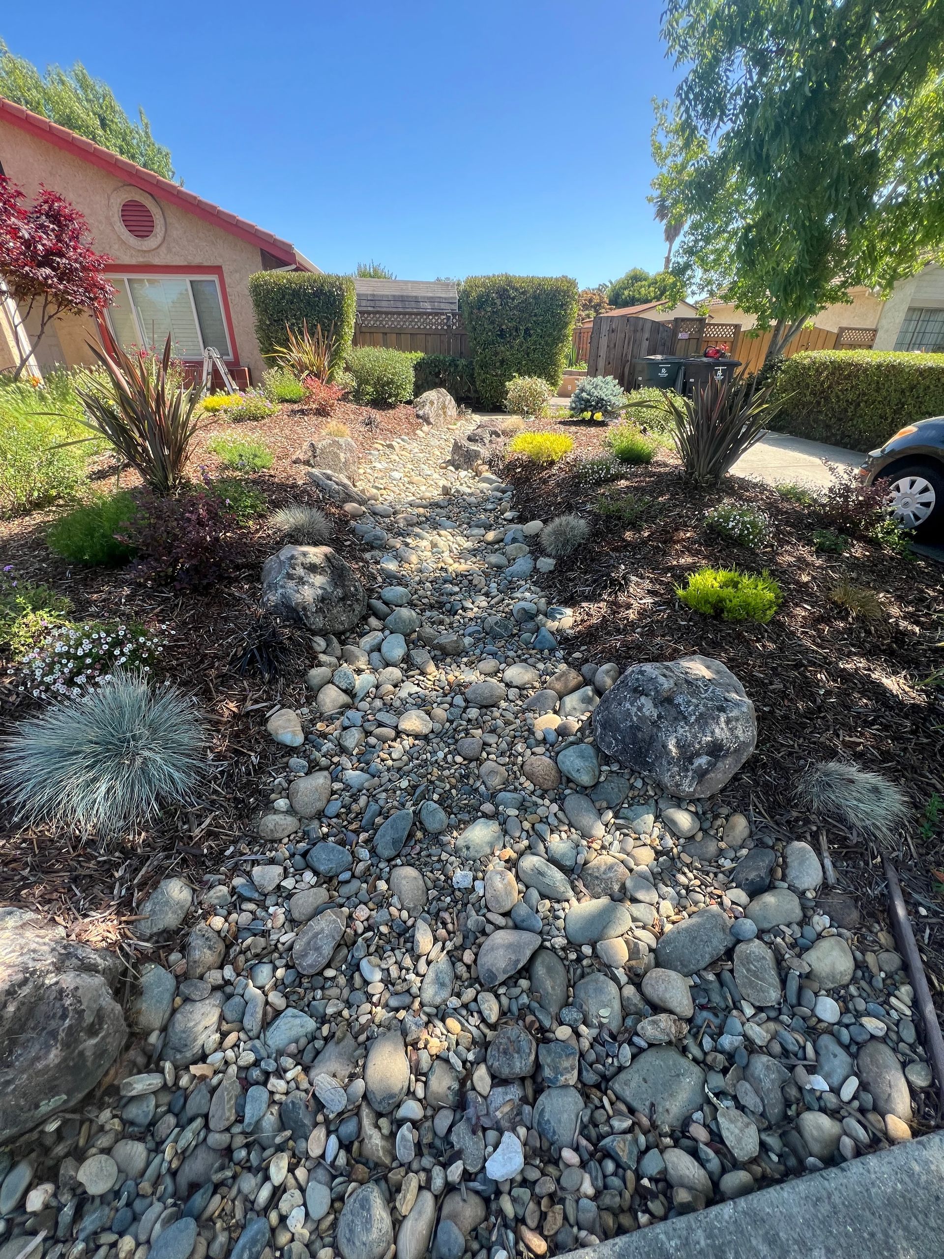 Dry creek bed with rocks and various plants in a sunny residential front yard.