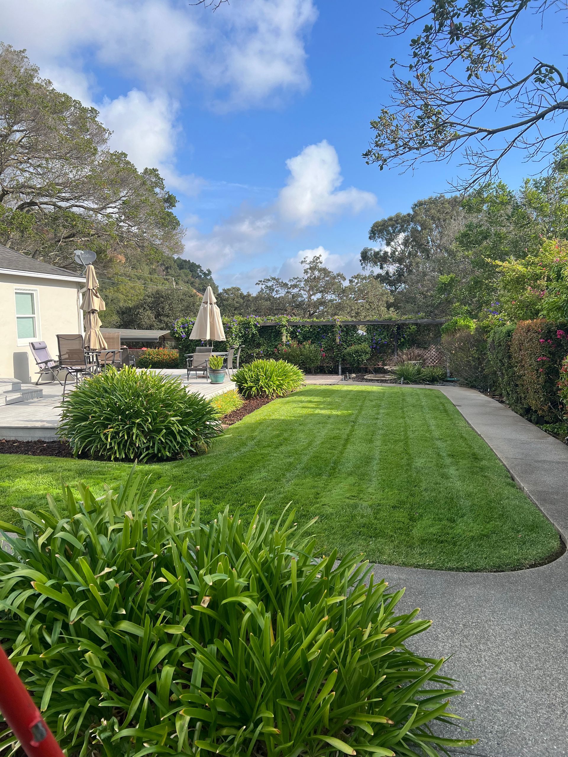 Lush green yard with a patio and plants under a bright blue sky.