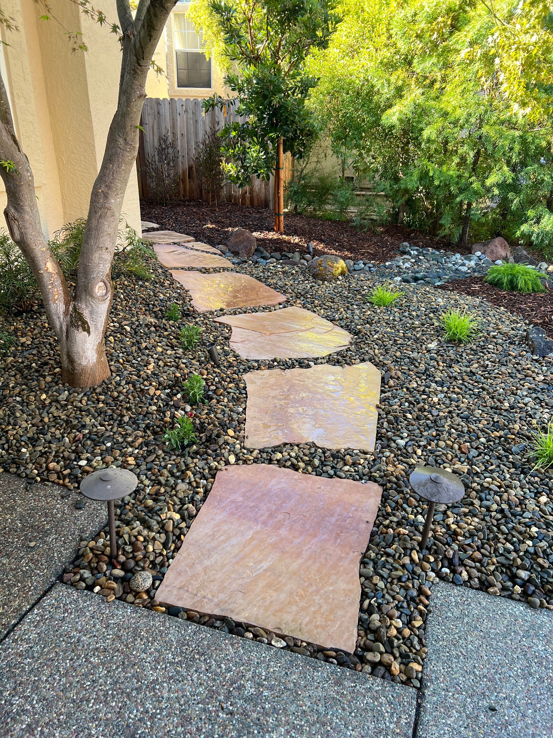 Stone path through a landscaped yard with pebbles, plants, and trees.