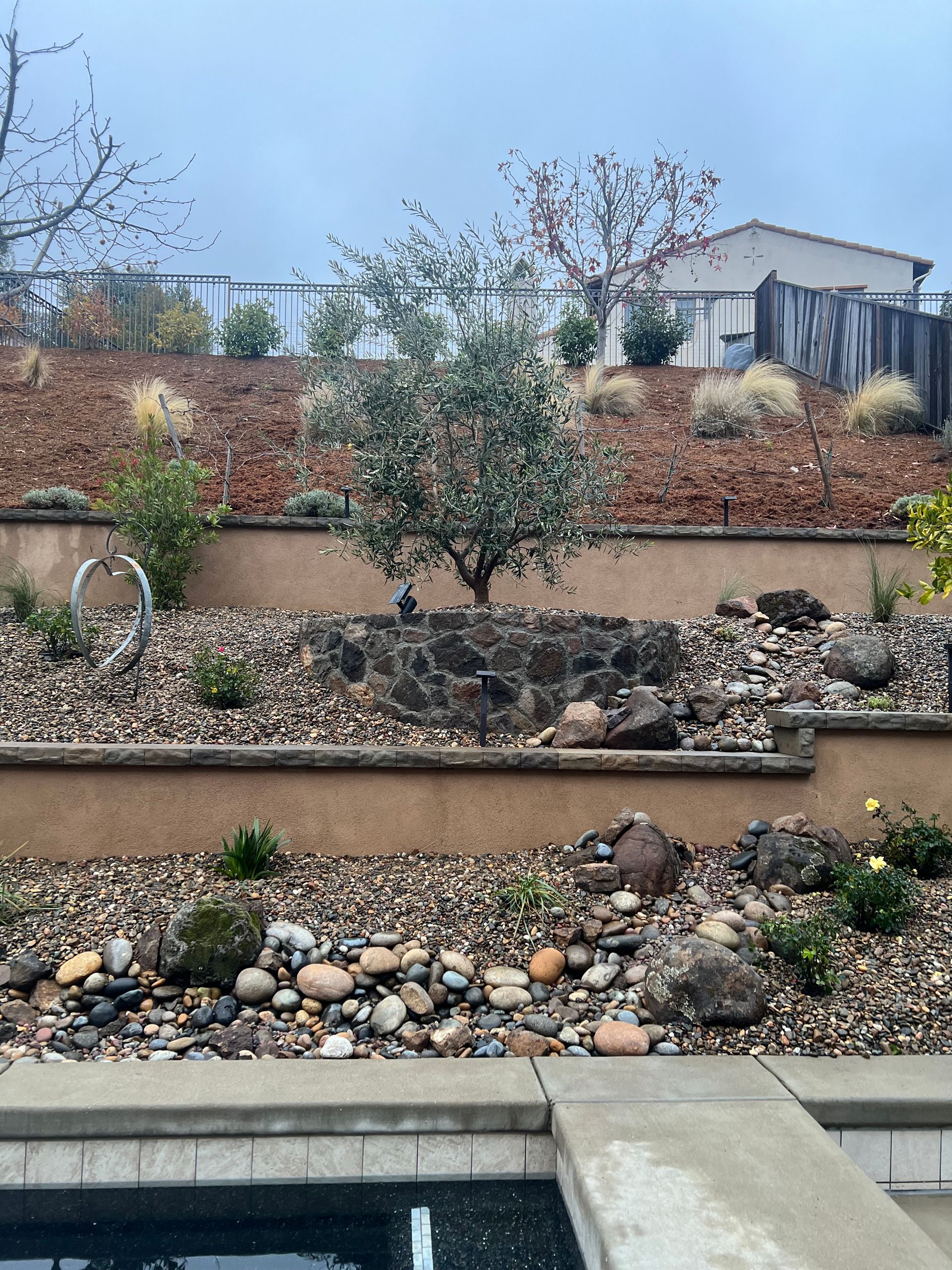 Backyard with tiered landscaping, rocks, and a tree near a pool on a cloudy day.