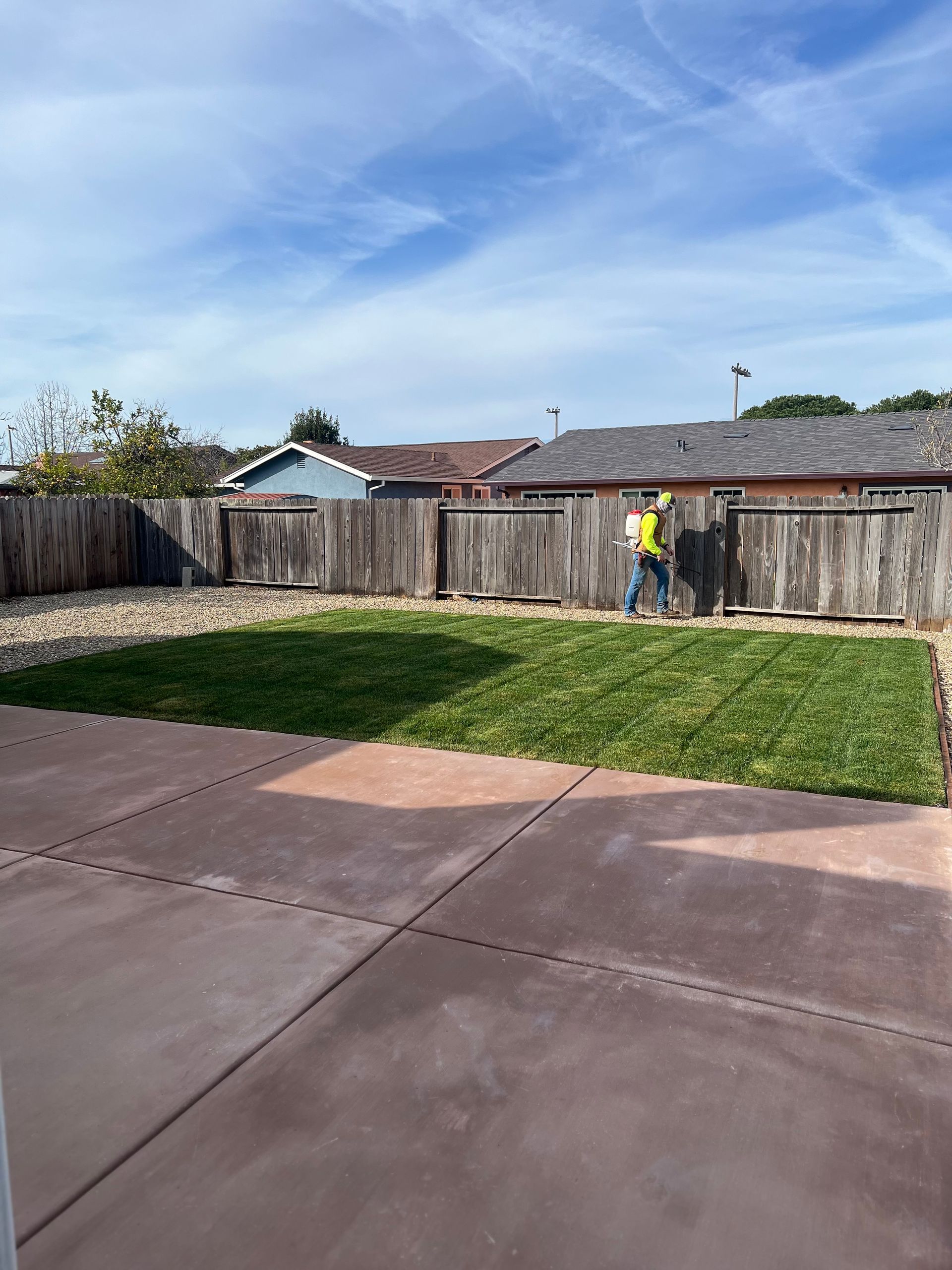 A person mows a newly planted green lawn in a backyard with a concrete patio and a wooden fence.