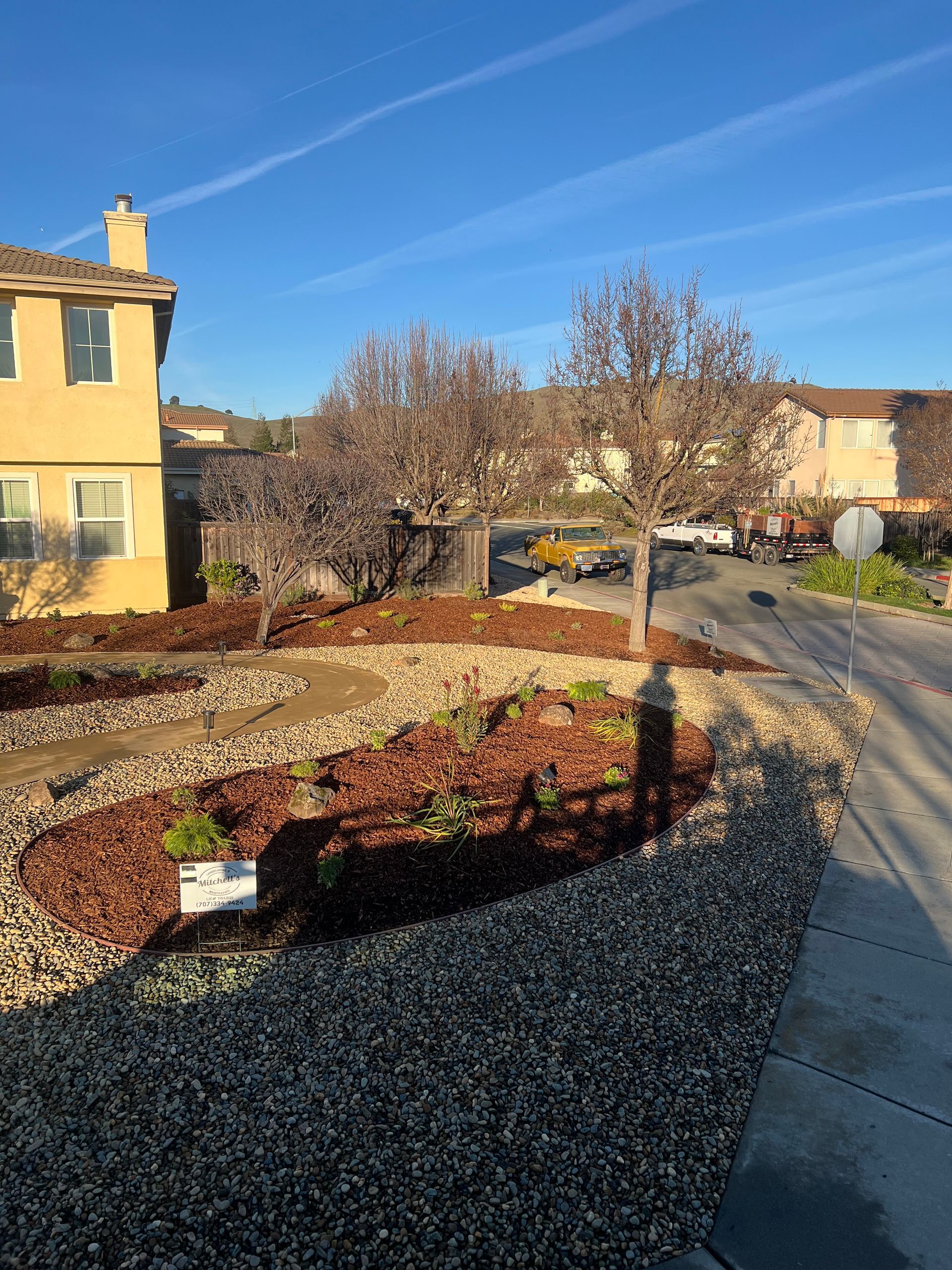 Residential landscape with dark mulch, light gravel, trees, and houses, on a sunny day.