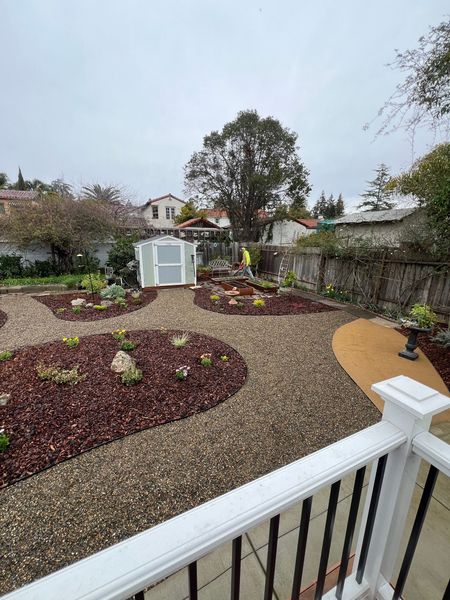 Backyard garden with mulch beds, gravel paths, small greenhouse, and tree under overcast sky.