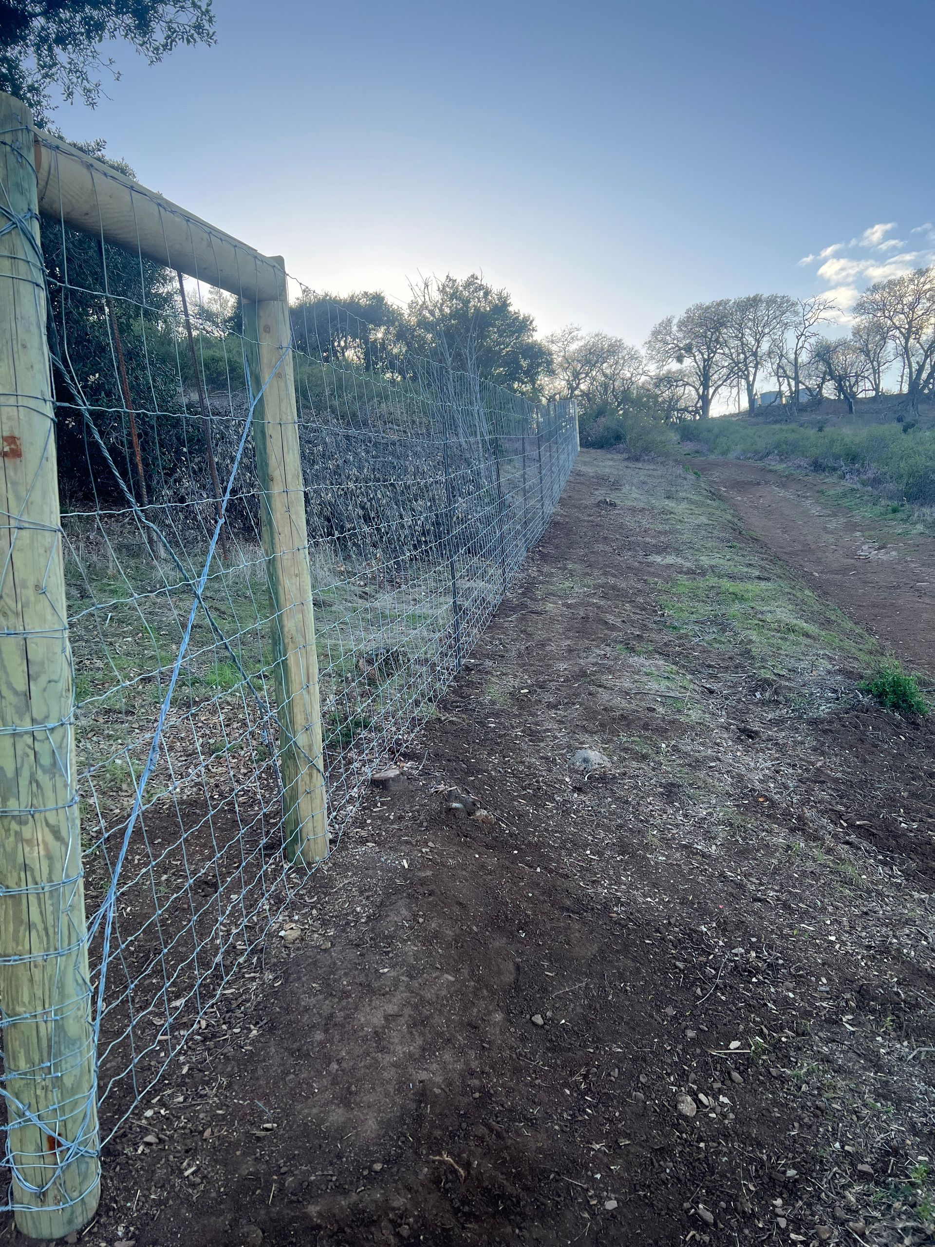 Wooden fence with wire mesh, extending along a dirt path, trees in the background under a clear sky.