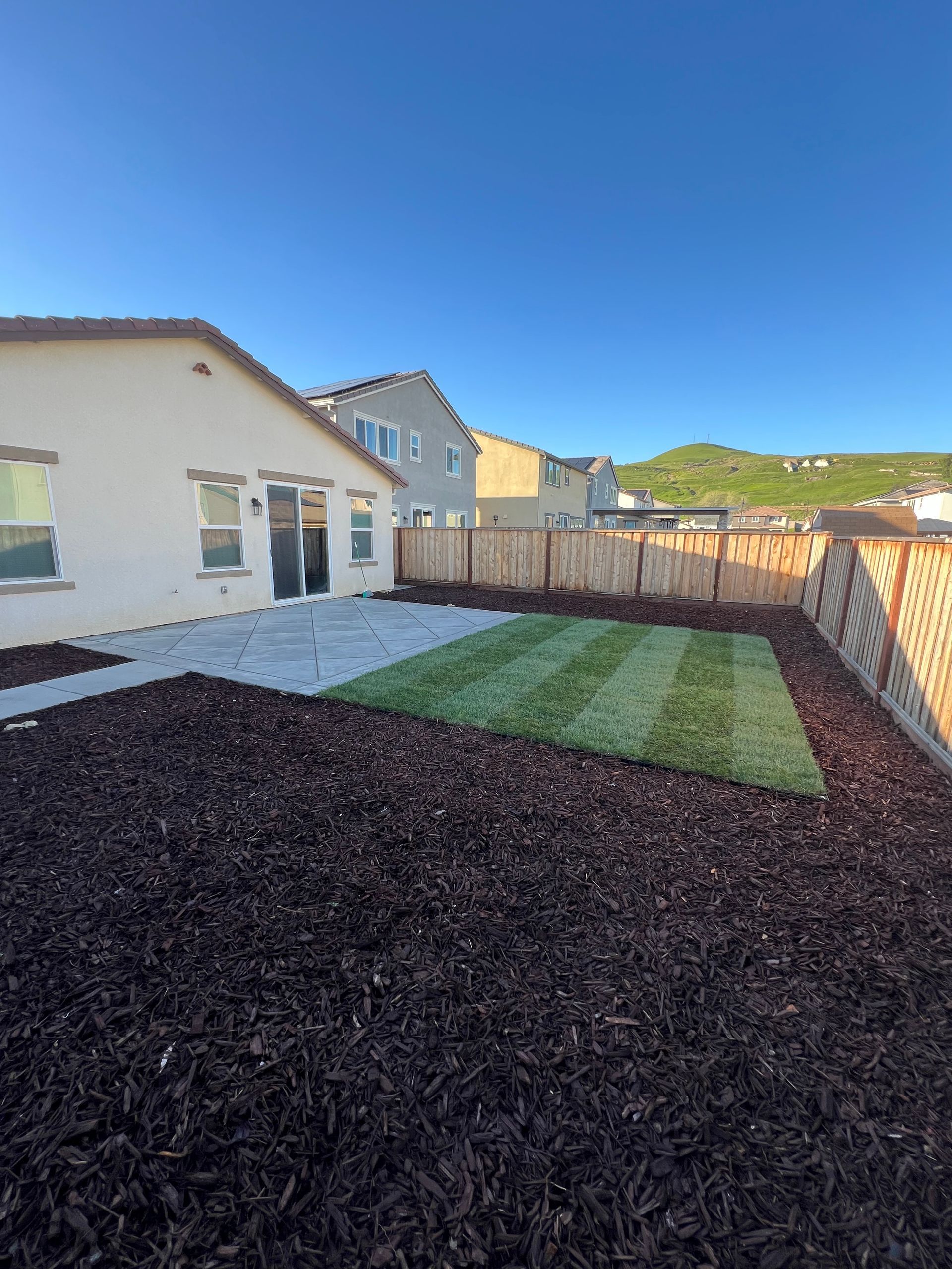 Backyard with fresh sod, mulch, patio, wooden fence, and houses under a blue sky.