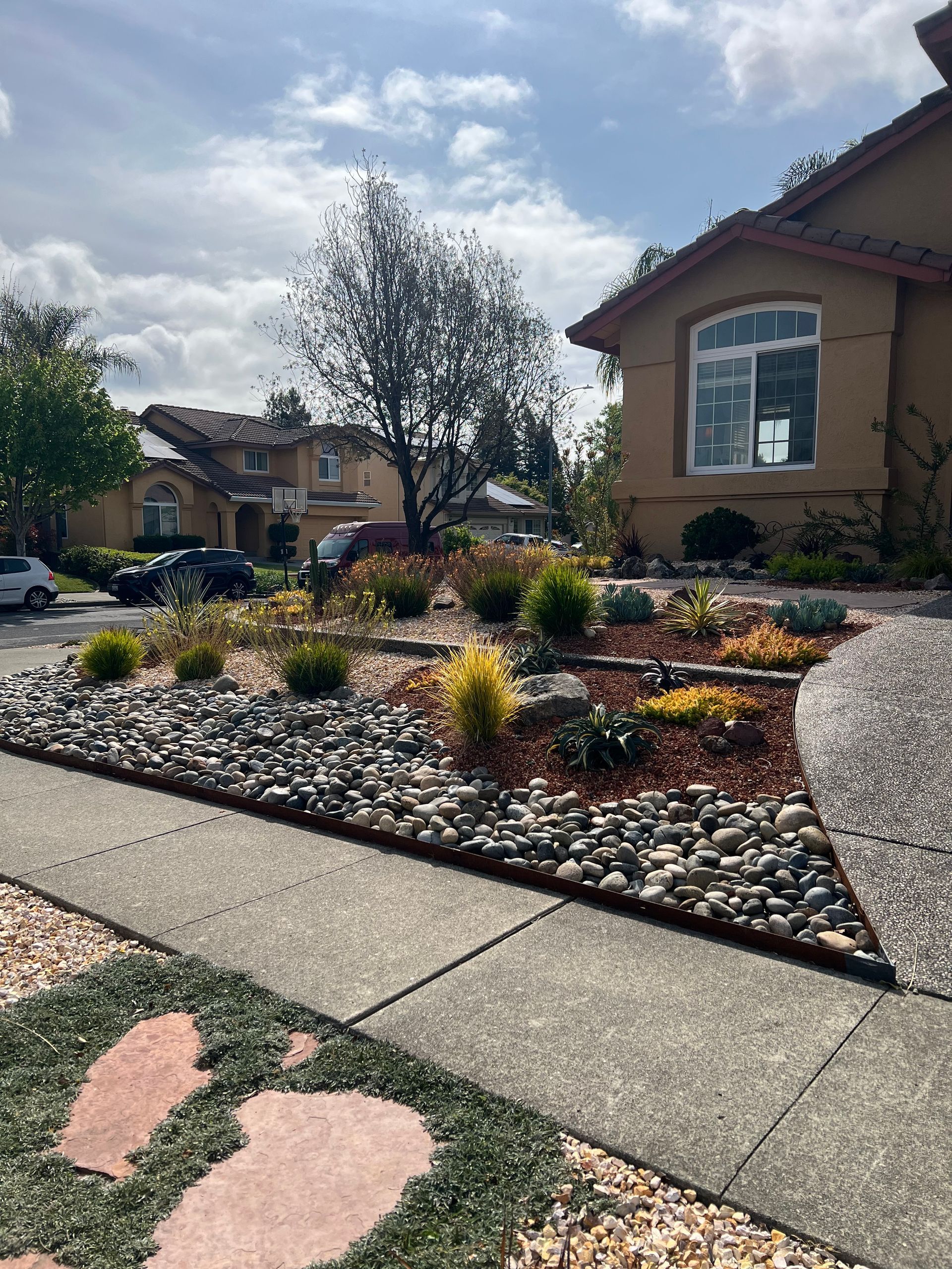 A landscaped yard with rocks and plants next to a sidewalk and a tan house on a sunny day.