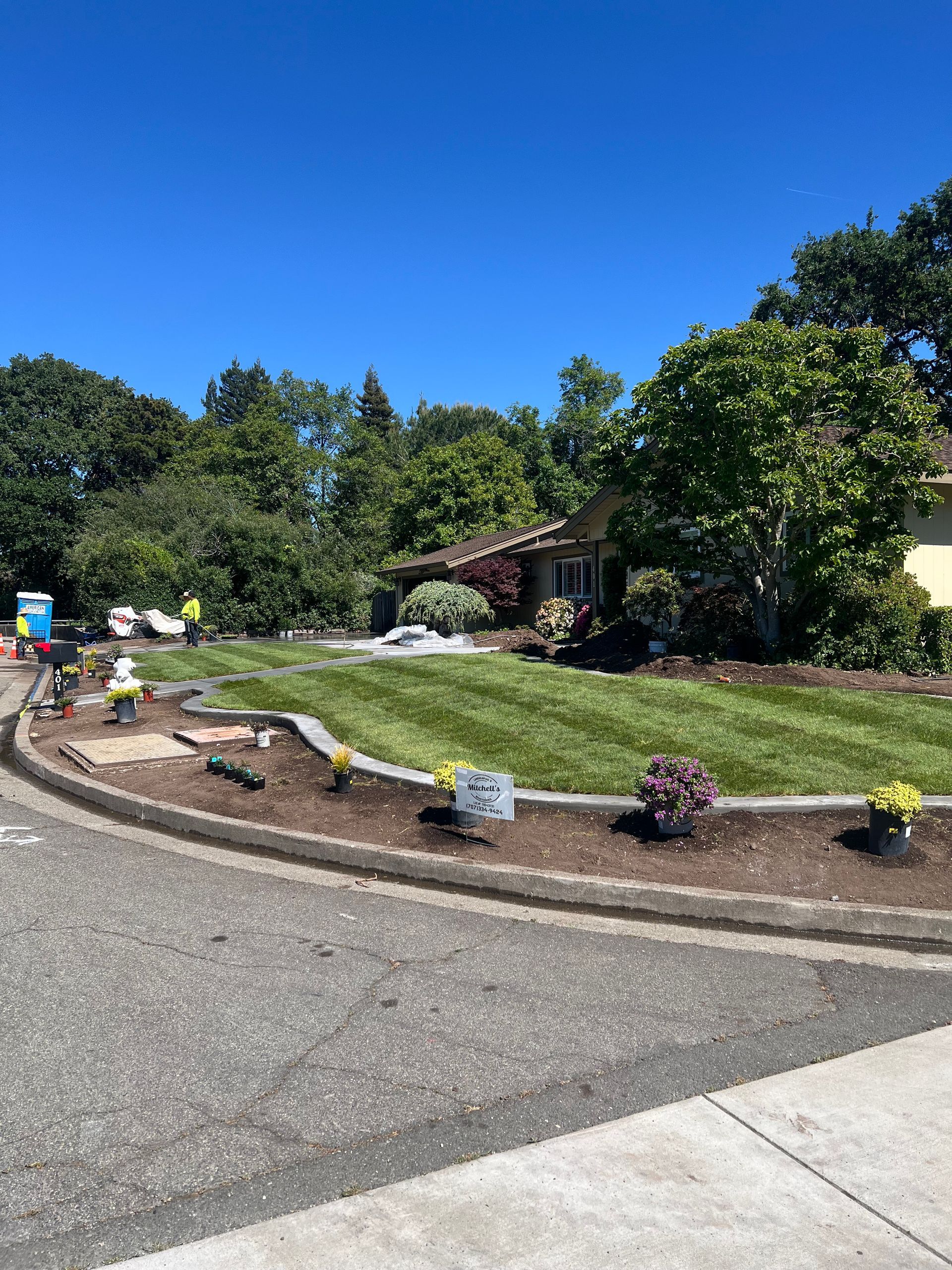 Landscaped yard with fresh-cut grass, flower beds, and a house on a sunny day.
