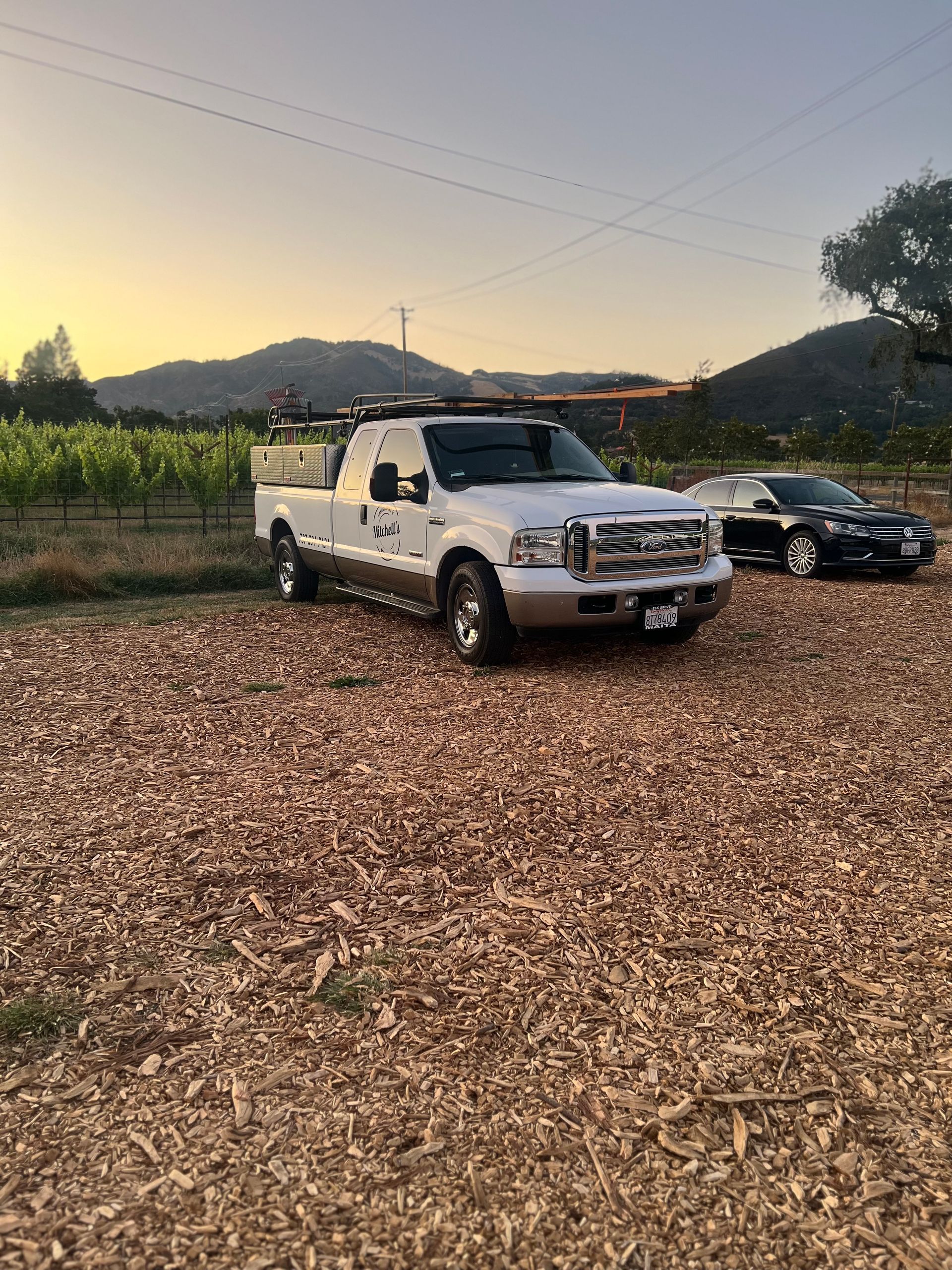 White truck and black car parked on wood chips with vineyard and mountains in the background at dusk.