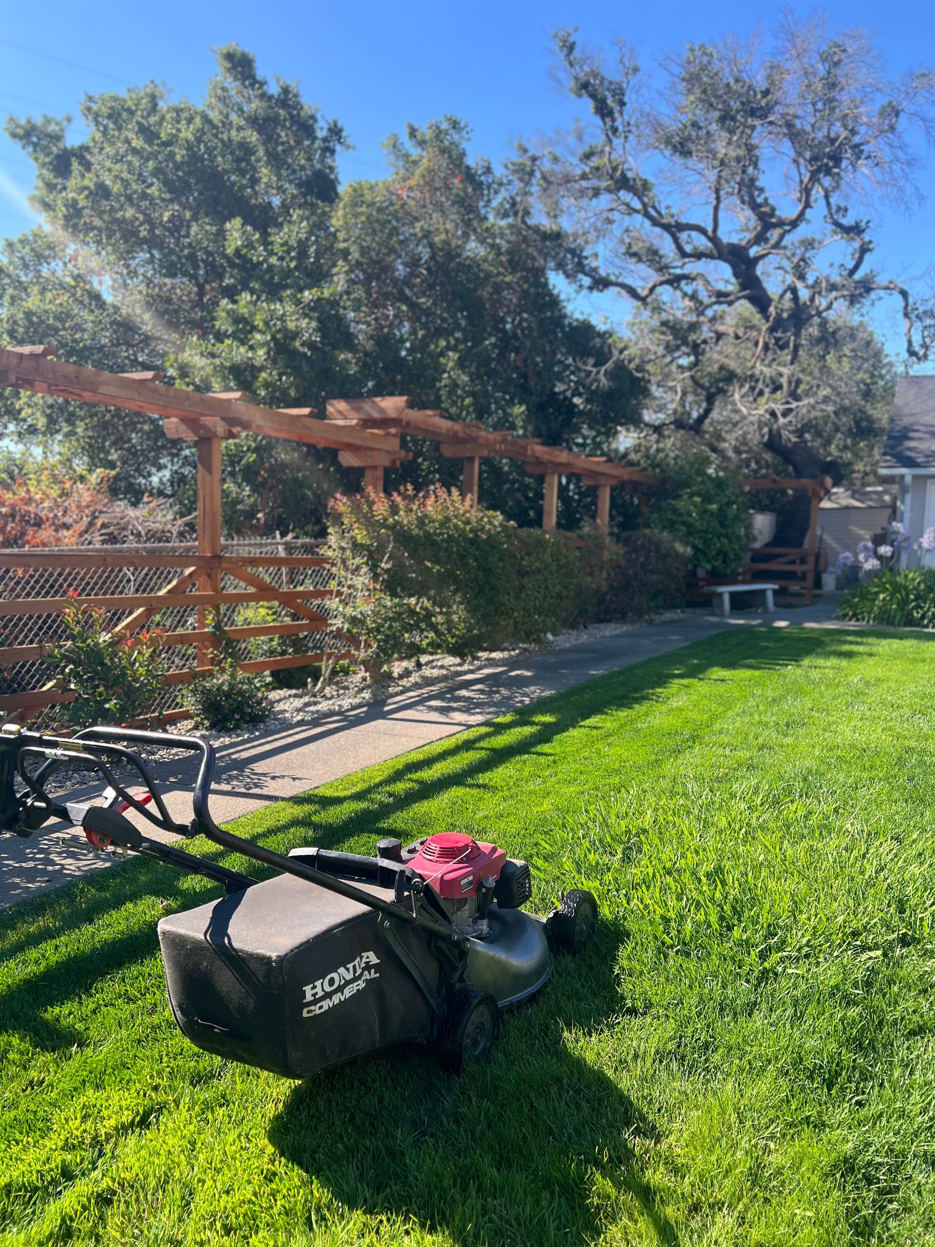Lawnmower on a green lawn near a wooden fence, trellis, and trees on a sunny day.