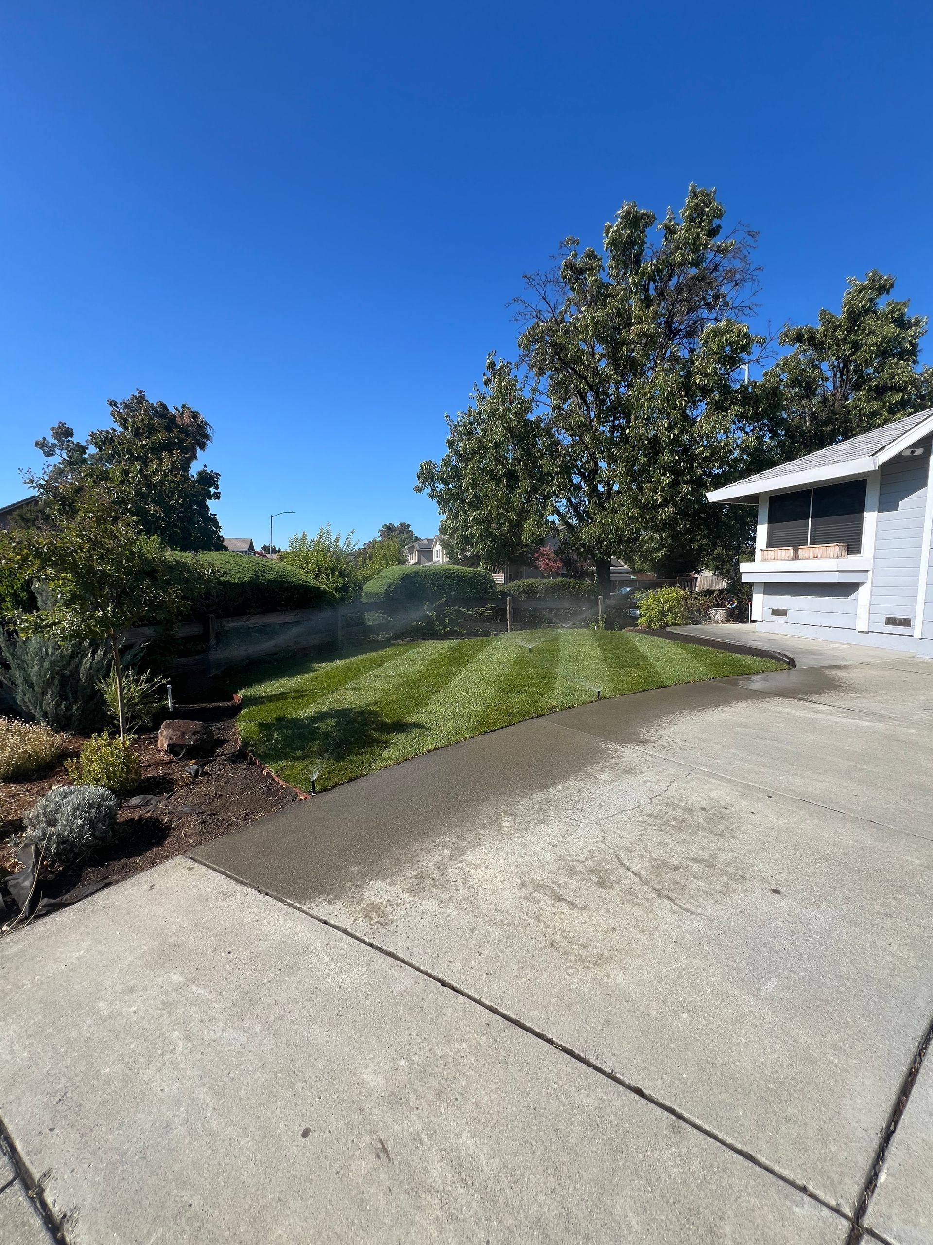 A lawn with a sprinkler system on, next to a paved driveway and a house under a blue sky.