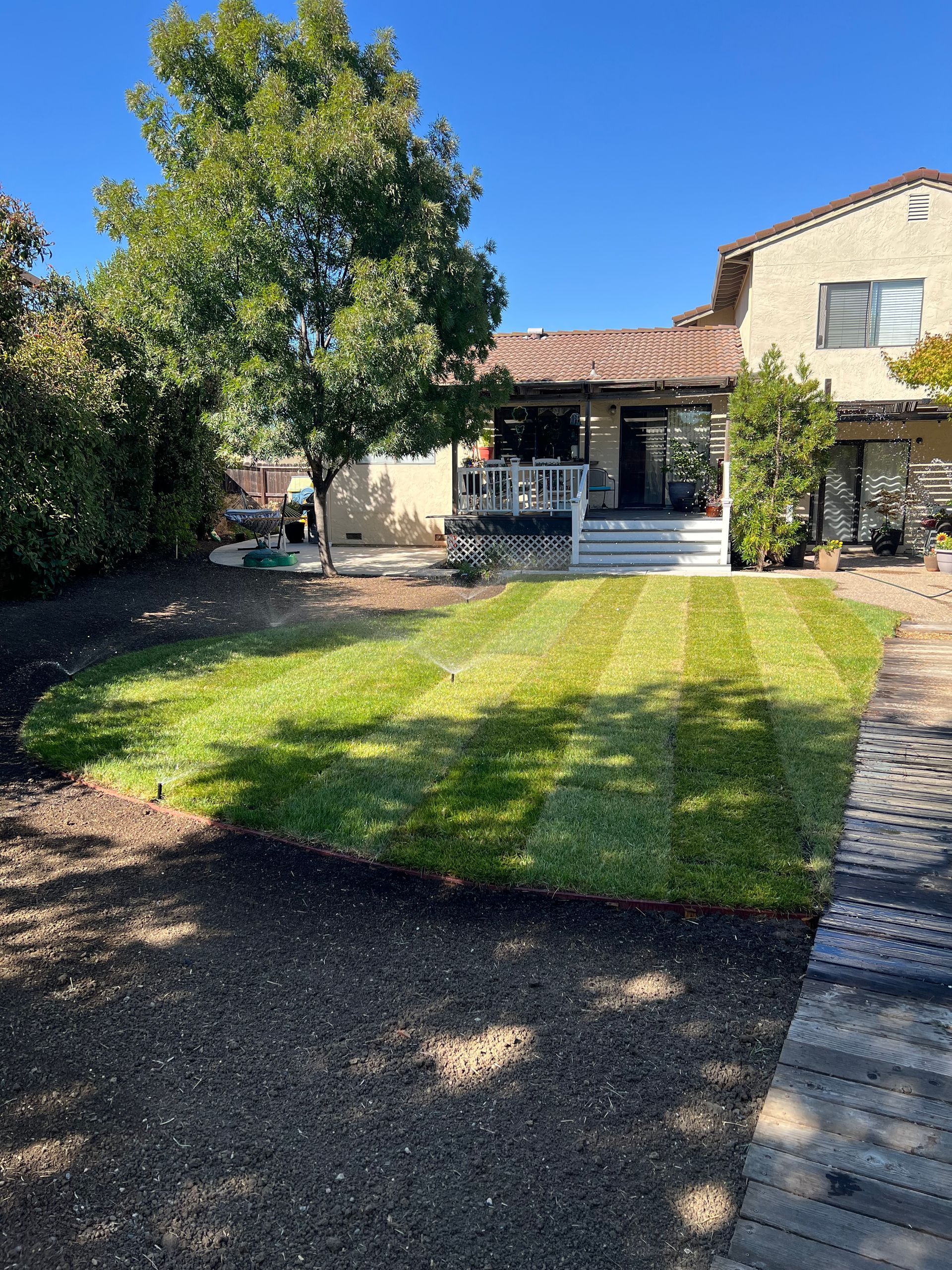 Freshly mowed green lawn in a backyard with a house, tree, and patio on a sunny day.