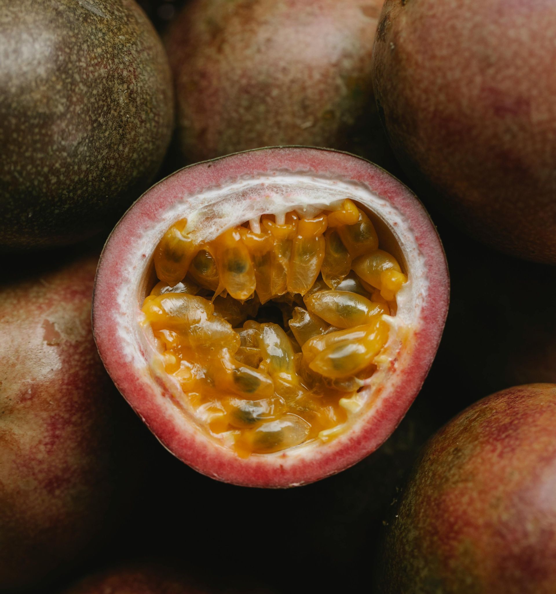 Guavaberry