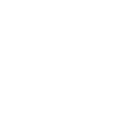 Flag Electric LLC logo