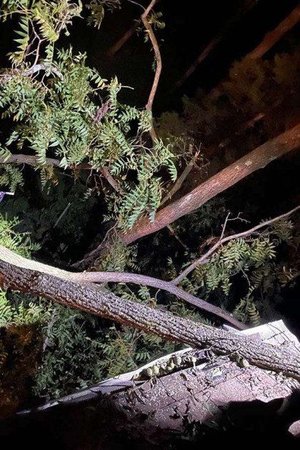 Tree Branch Damaging the Roof — Phillipsburg, NJ — Knock on Wood Tree Service LLC