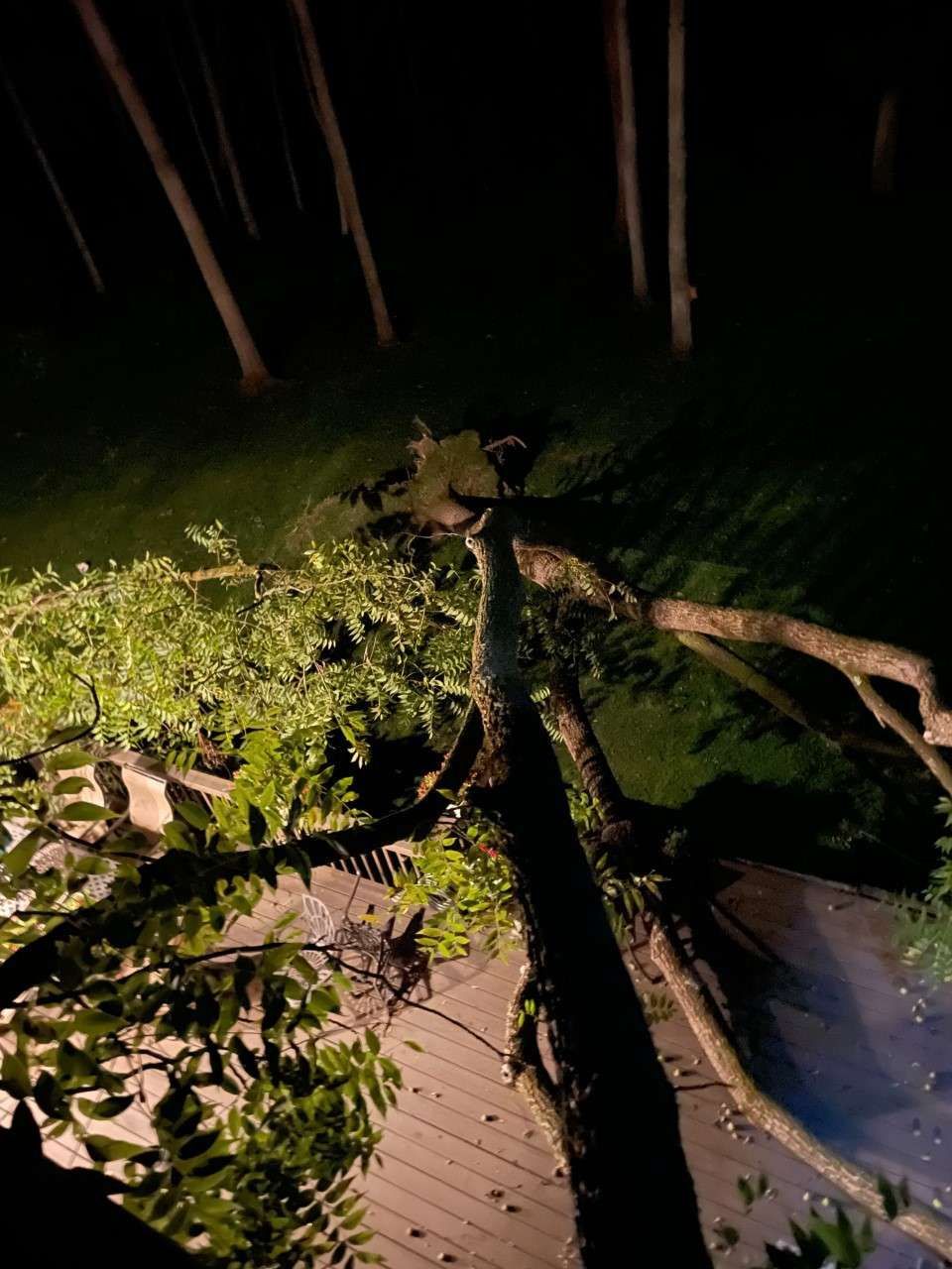 Tree Fell on the Deck — Phillipsburg, NJ — Knock on Wood Tree Service LLC