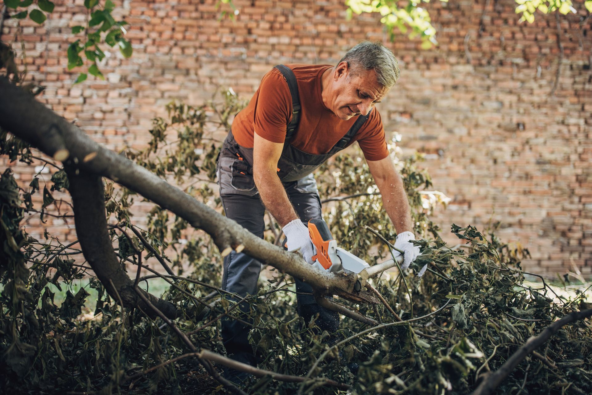 Arborist cutting branches after storm.