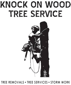 Knock on Wood Tree Service LLC
