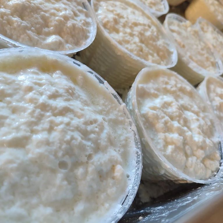 ricotta - la bottega del contadino, montopoli in sabina, rieti