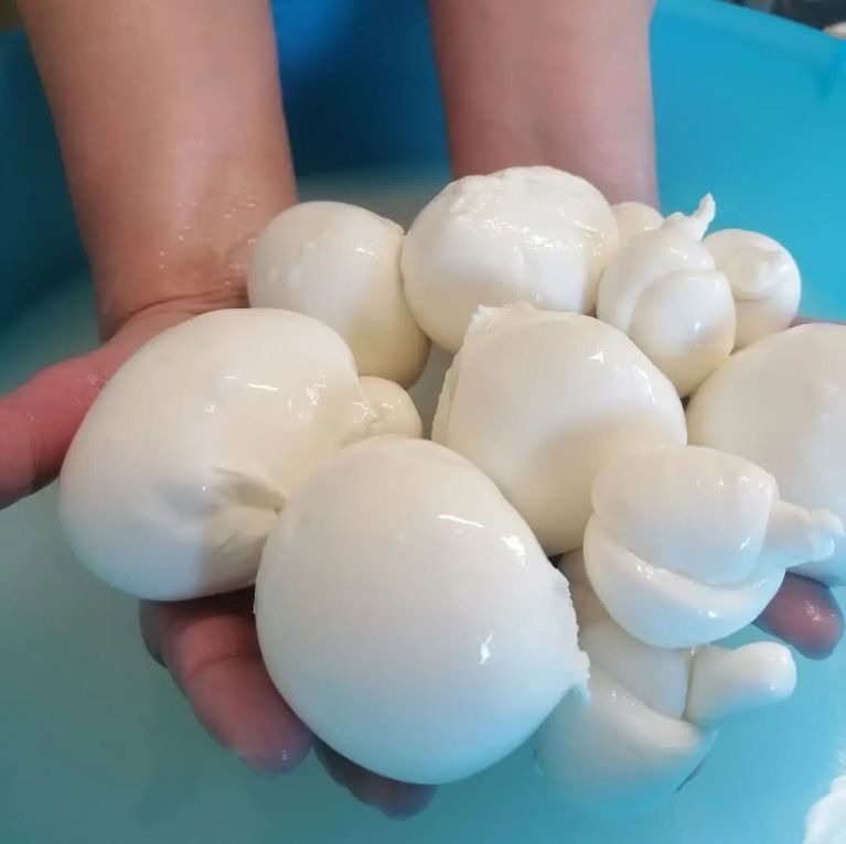 mozzarella - la bottega del contadino, montopoli in sabina, rieti