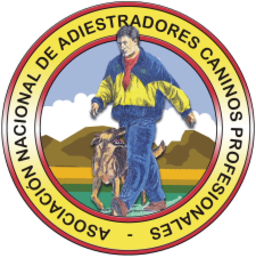 Logo: Man walking a dog, mountains in the background, text 