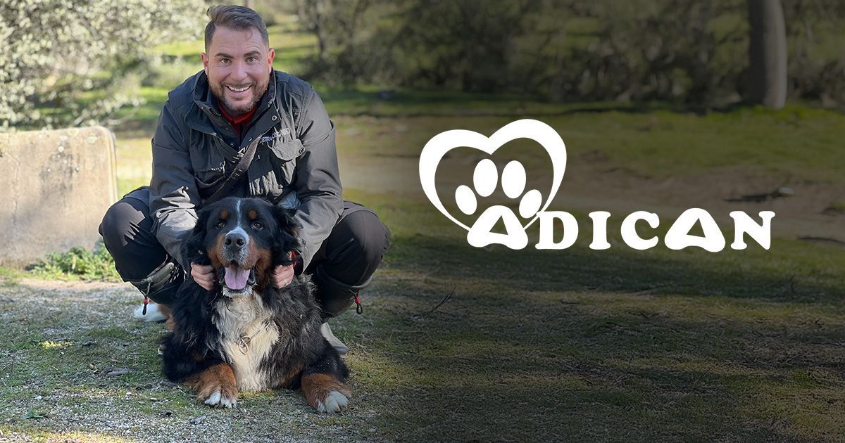 Hombre arrodillado con un perro de montaña bernés al aire libre; logotipo de ADICAN.